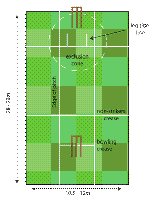 Indoor cricket pitch and playing area